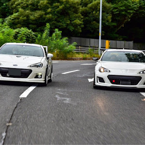 86 ZN6