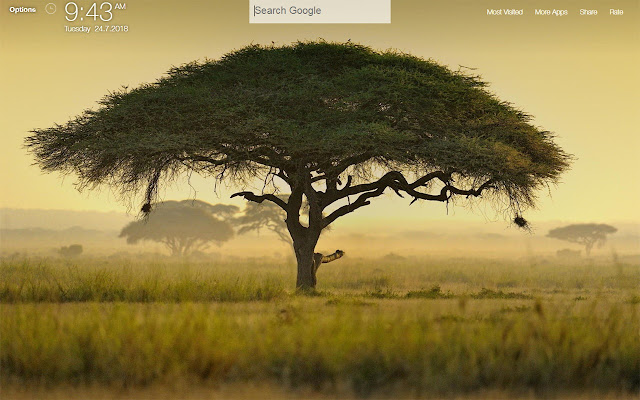 Kenya FullHD New Tab Wallpapers