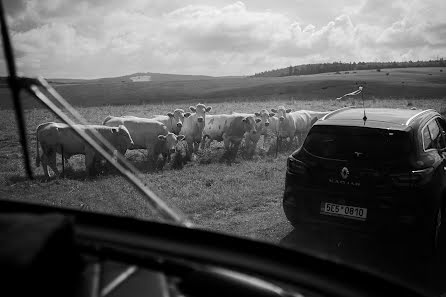 Hochzeitsfotograf Tom Holeček (holecphoto). Foto vom 17. Juli 2023