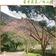 【竹子湖】吉園葡花園野菜