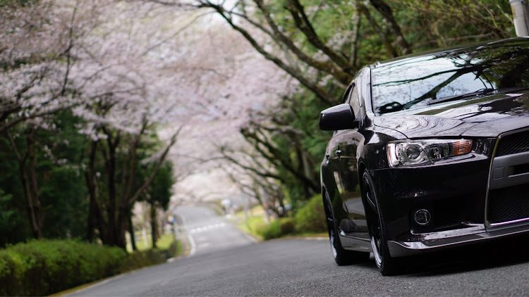ランサーエボリューションの桜と愛車・ソメイヨシノ・スポーツカー好きな人と繋がりたい・for MEG・for さっこに関するカスタム事例の投稿画像3枚目