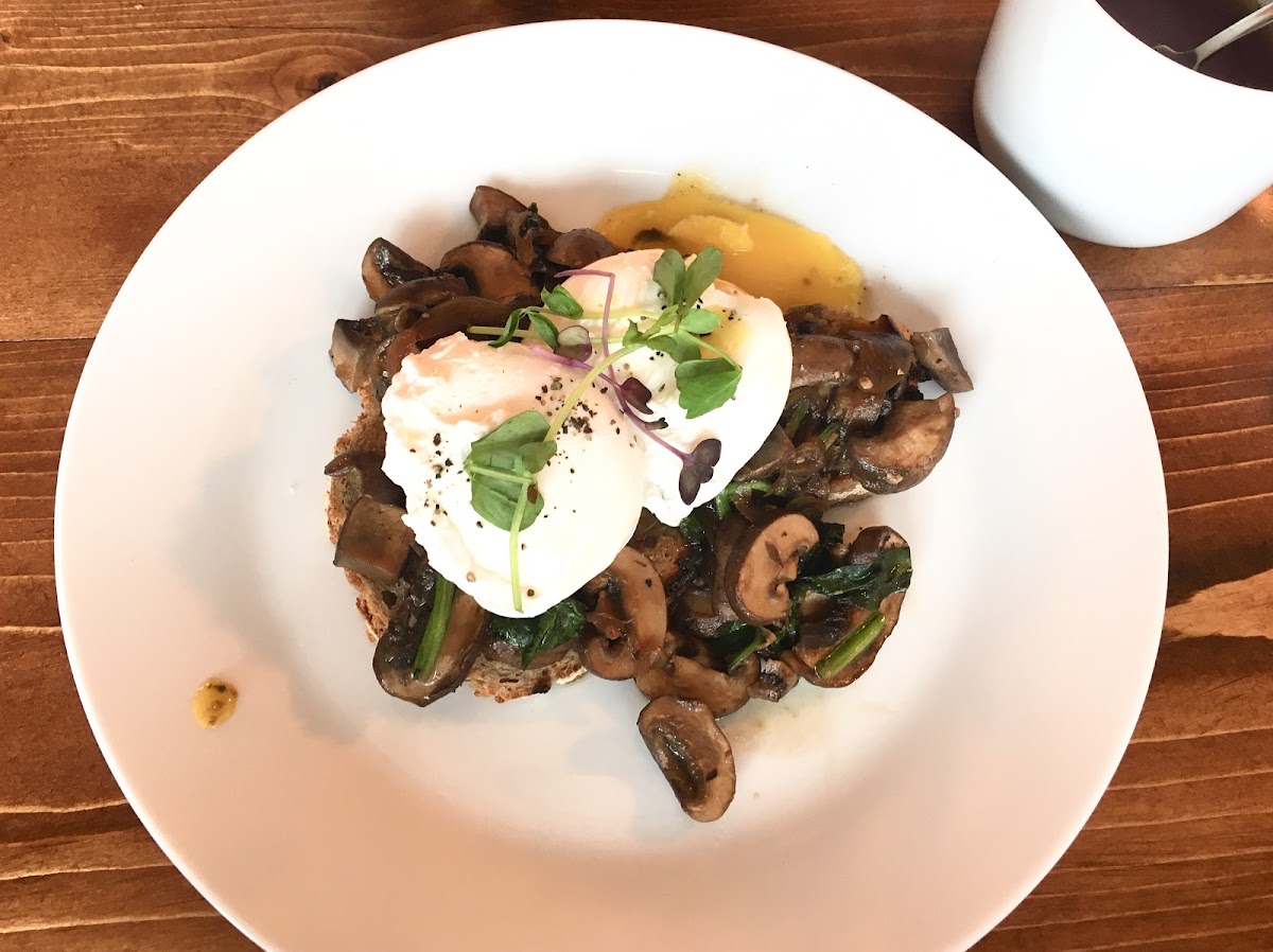 mushrooms and poached eggs on gluten free toast