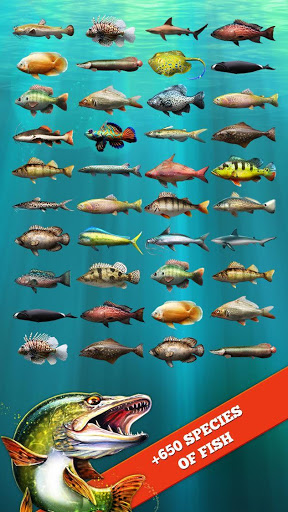 Screenshot Let's Fish: Fishing Simulator