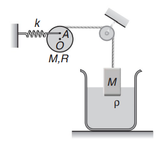 Spring-mass system