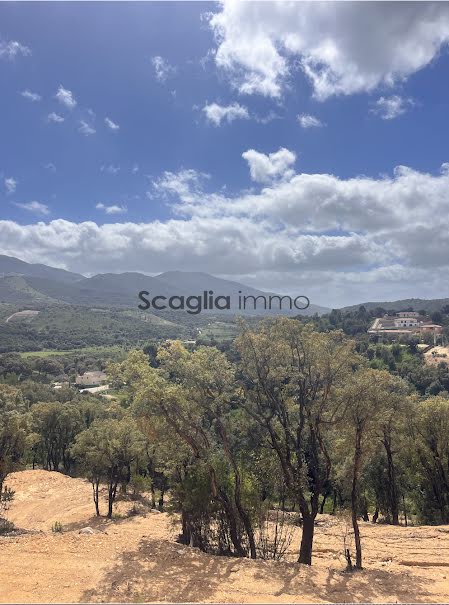 Vente terrain  875 m² à Tavaco (20167), 190 000 €