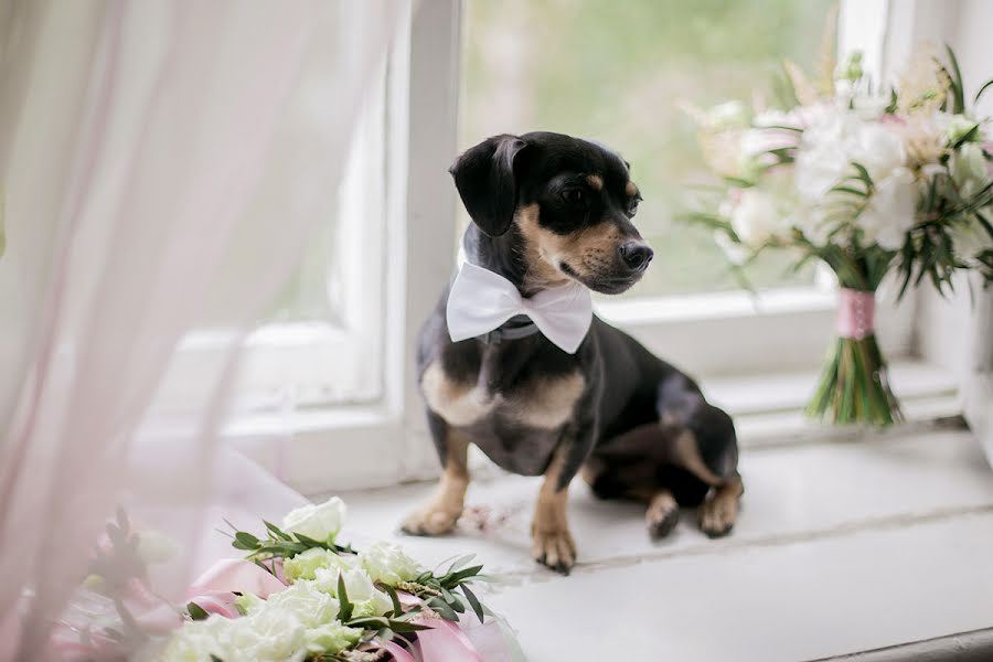 Fotografo di matrimoni Ulyana Bogulskaya (bogulskaya). Foto del 30 gennaio 2018