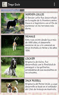 Conoce y escoge raza de perro(圖7)-速報App