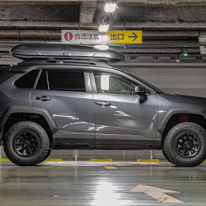 RAV4 MXAA54