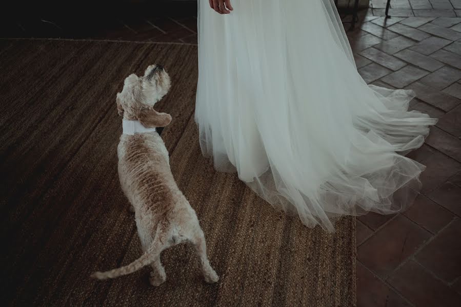 Photographe de mariage Tania Rodríguez (taniaroez). Photo du 30 mai 2019