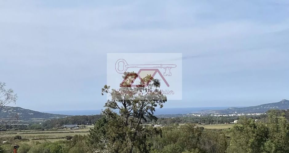 Vente terrain à batir  3100 m² à Calvi (20260), 356 000 €