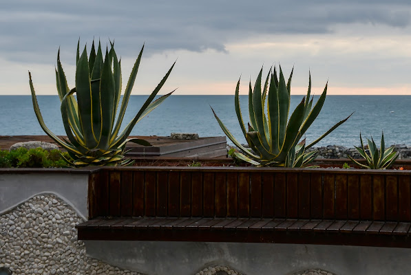 Vista mare  di Wilmanna