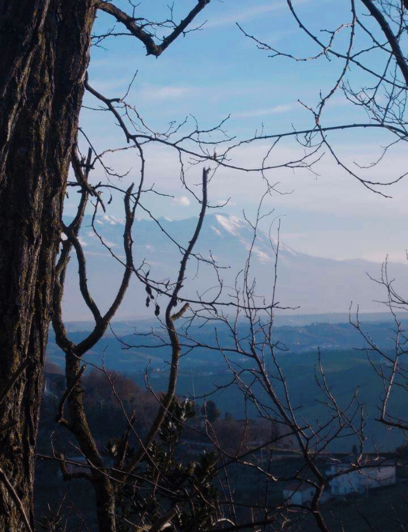 Spoglie  di Sagittabonda-sciamannata