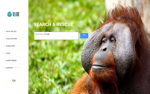 Wildee search & rescue for animal lovers