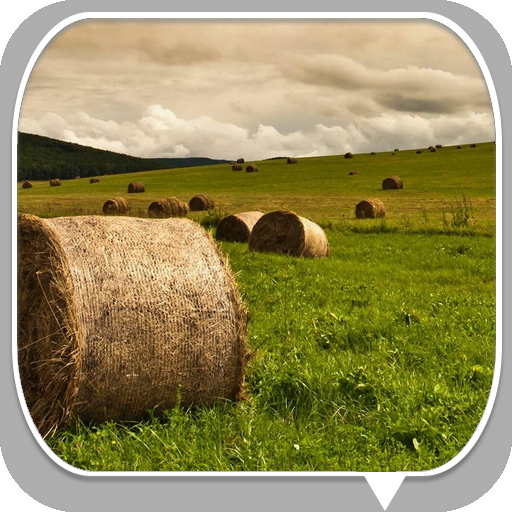Hays in the Greengrass 個人化 App LOGO-APP開箱王