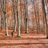 Momenti d'Autunno di 