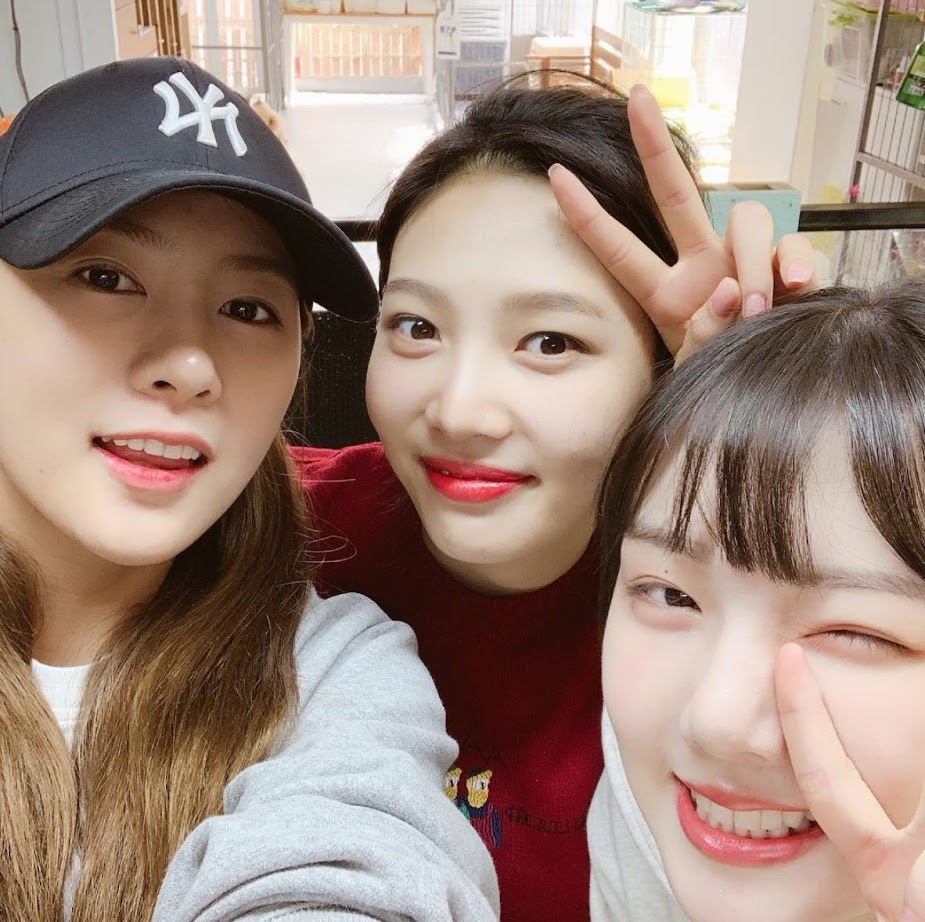 yerin hayoung joy