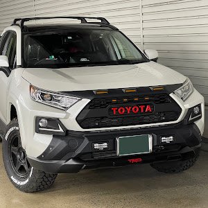 RAV4 AXAH54