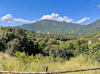 terrain à Eccica-Suarella (2A)