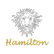 Hamilton Group  Icon