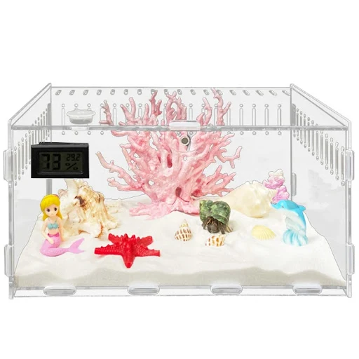 Insect Feeding Box Clear Acrylic Container Terrariums for Spiders Reptiles