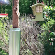 South Carolina Botanical Garden Young Birders Club