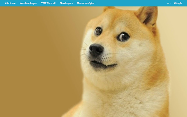 TGM Elearning Doge Hintergrund chrome extension