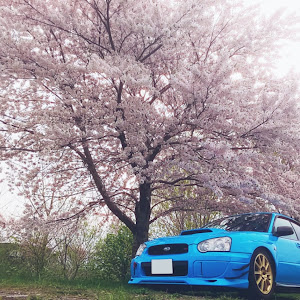 インプレッサ WRX STI GDB