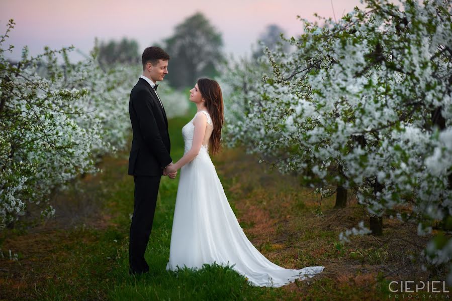 婚礼摄影师Grzegorz Ciepiel（ciepiel）。2016 5月11日的照片