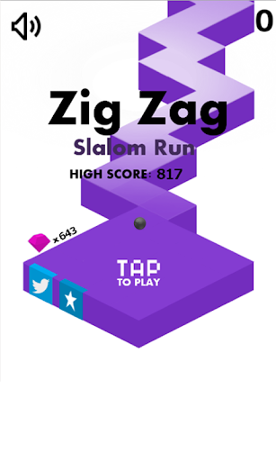 Zig Zag - Slalom Run