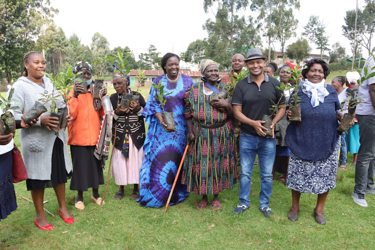 Farmers with the macadamia seedlings they received from from Jungle Nuts Limited in Gatundu North on Sunday