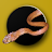 Australian Snake ID icon