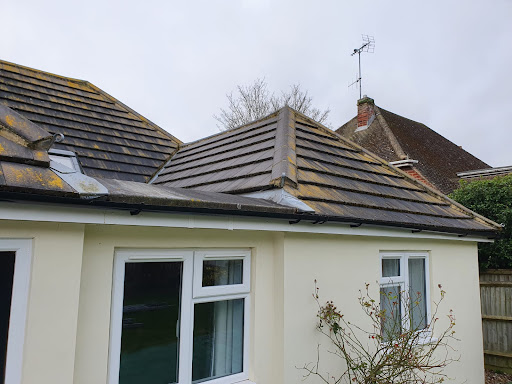 Before removing the moss