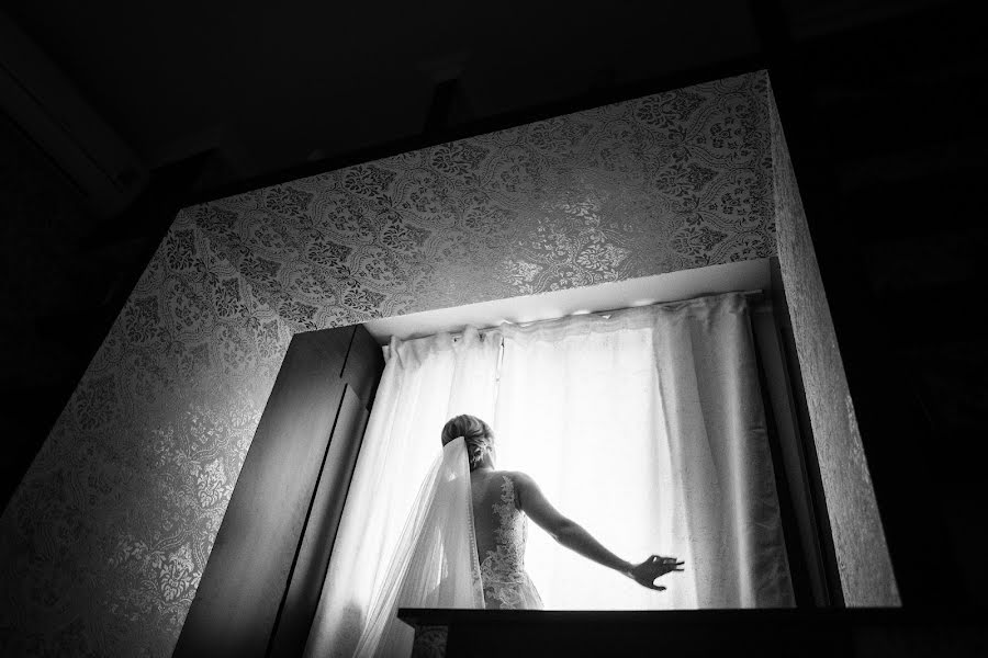 結婚式の写真家Vladimir Shkal (shkal)。2016 7月27日の写真