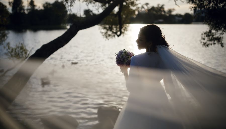 Fotografo di matrimoni Evgeniy Tayler (ilikewed). Foto del 12 novembre 2018