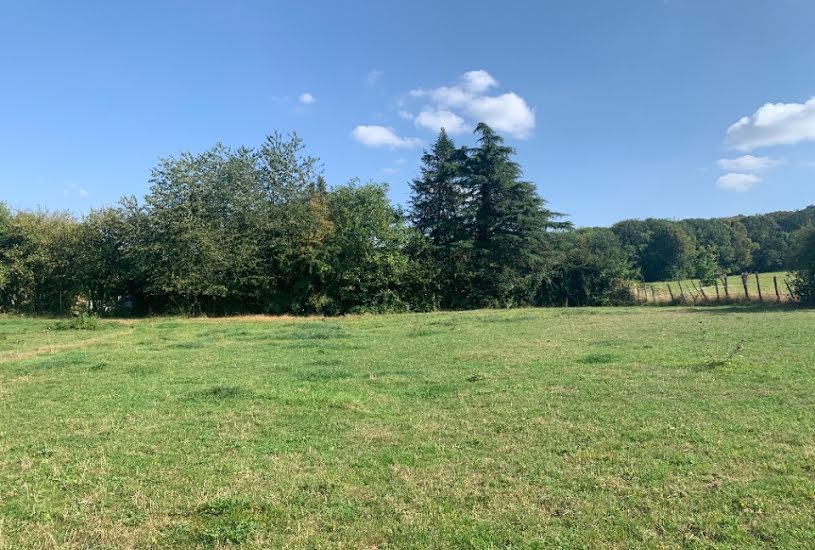  Vente Terrain + Maison - Terrain : 499m² - Maison : 90m² à Dormelles (77130) 