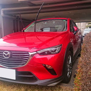 CX-3 DK5FW