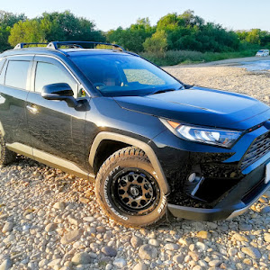 RAV4 MXAA54