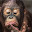 Orangutan Pop HD Animals New Tabs Theme