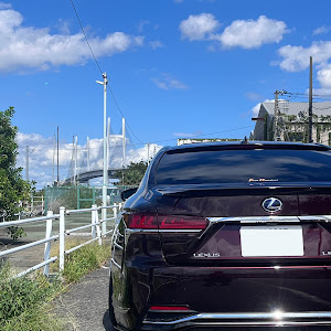 LS GVF50