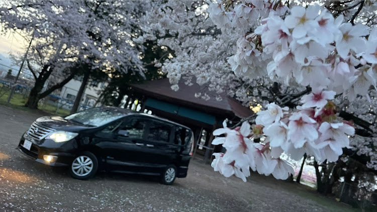 セレナのサクラと愛車・桜とコラボ・目指せPickUpCars・桜・DIYに関するカスタム事例の投稿画像4枚目