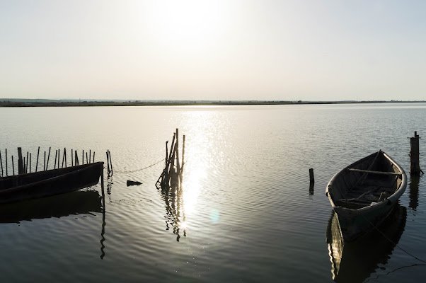 Inganno d'acqua di Neo_fi_ta00