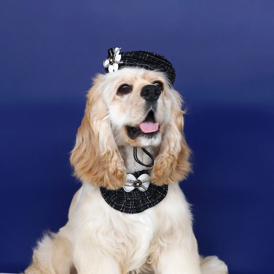 Gorro Boina con Flor Lazo Babero de Encaje para Bebé, Perfecto para Fotos y Ocasiones Especiales, Suave y Elegante.