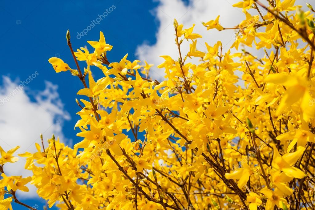 9lqNr2Hl_BqbSCpWFJqd6EYzZP4RYLvEMJNJlzgFlYpk8-d8mVwt_qM_LFpKE5I2hc8IRWijrTtXc3tSGbIMX4Q5Ee7c2QKiHOik_1eCj6U99VnzRWVzUQmbUTyeH4Q4eChyGT9q