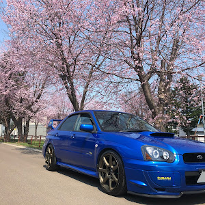 インプレッサ WRX GDA