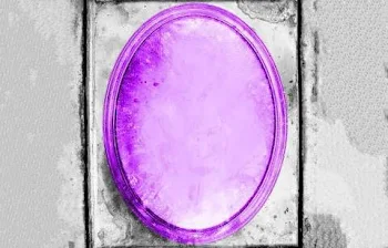 紫鏡2