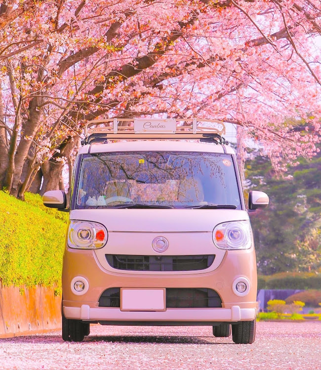 ムーヴキャンバスのサクラと愛車・桜とコラボ🌸・ドライブ・車と風景・ムーブキャンバスに関するカスタム事例の投稿画像8枚目