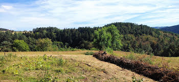 terrain à Les Villettes (43)