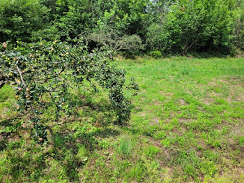 terrain à Corneilla-de-Conflent (66)