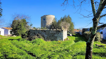 terrain à Marennes (17)