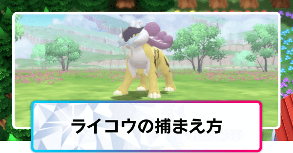 ポケモンダイパリメイク ライコウの捕まえ方と厳選方法 sp 神ゲー攻略